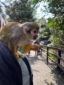 長崎バイオパークに投稿された画像（2022/12/30）