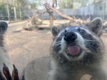 長崎バイオパークに投稿された画像（2022/12/30）