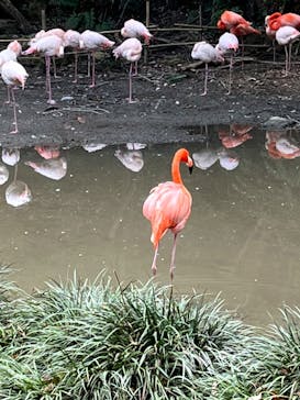 長崎バイオパークに投稿された画像（2022/12/30）