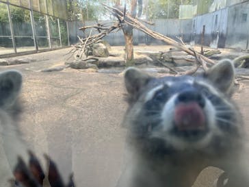 長崎バイオパークに投稿された画像（2022/12/30）