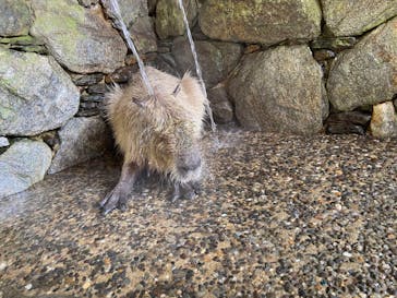 長崎バイオパークに投稿された画像（2022/12/30）