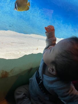 大分マリーンパレス水族館 「うみたまご」に投稿された画像（2022/12/30）