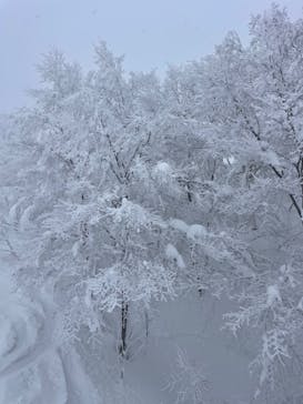 たざわ湖スキー場に投稿された画像（2022/12/30）