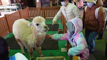 那須どうぶつ王国に投稿された画像（2022/12/30）