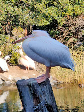 神戸どうぶつ王国に投稿された画像（2022/12/30）