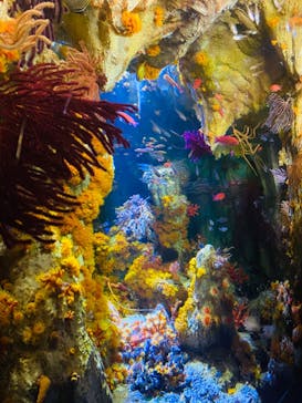 サンシャイン水族館に投稿された画像（2022/12/30）