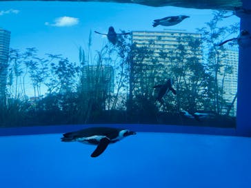 サンシャイン水族館に投稿された画像（2022/12/30）