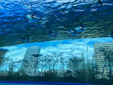 サンシャイン水族館に投稿された画像（2022/12/30）