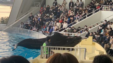 マリンワールド海の中道に投稿された画像（2022/12/30）