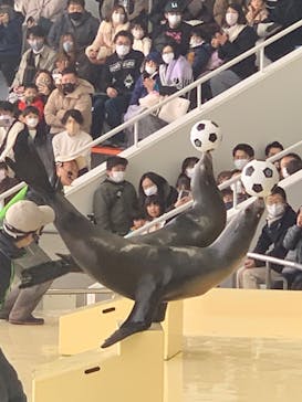 マリンワールド海の中道に投稿された画像（2022/12/30）