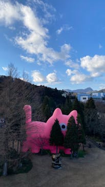 彫刻の森美術館に投稿された画像（2022/12/30）