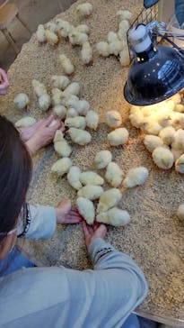 Moff animal cafe MARKIS 福岡ももち店に投稿された画像（2022/12/30）