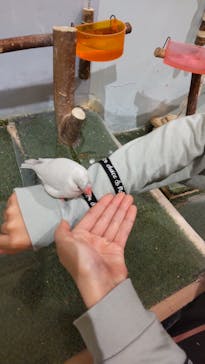 Moff animal cafe MARKIS 福岡ももち店に投稿された画像（2022/12/30）