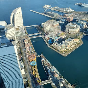 横浜ランドマークタワー 69階展望フロア スカイガーデンに投稿された画像（2022/12/30）