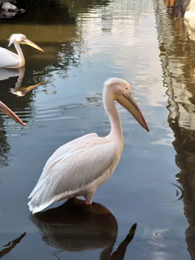 神戸どうぶつ王国に投稿された画像（2022/12/30）