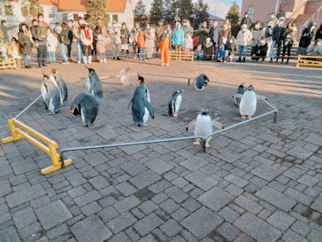 登別マリンパークニクスに投稿された画像（2022/12/30）