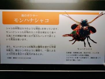 登別マリンパークニクスに投稿された画像（2022/12/30）