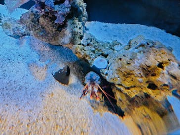 登別マリンパークニクスに投稿された画像（2022/12/30）