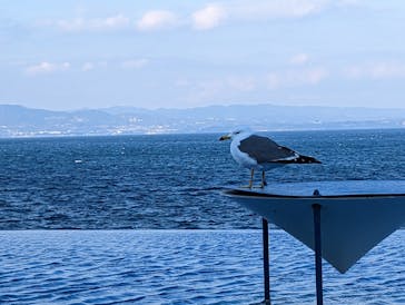 大分マリーンパレス水族館 「うみたまご」に投稿された画像（2022/12/30）