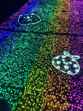 さがみ湖MORI MORIに投稿された画像（2022/12/30）