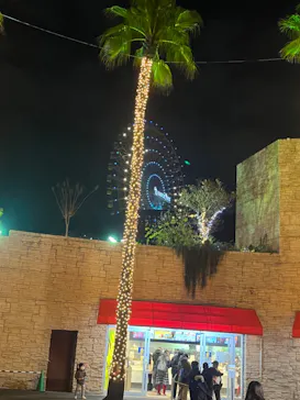 ひらかたパークに投稿された画像（2022/12/30）