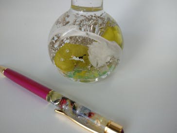 ずこうしつ〜sugamo〜に投稿された画像（2022/12/30）