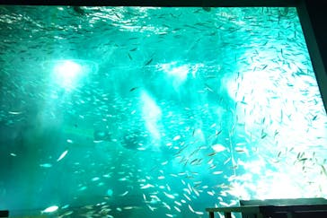 南知多ビーチランド＆南知多おもちゃ王国に投稿された画像（2022/12/30）