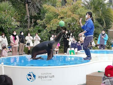 サンシャイン水族館に投稿された画像（2022/12/30）