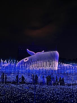 なばなの里に投稿された画像（2022/12/30）