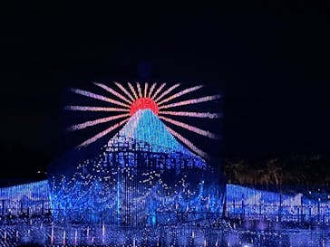 なばなの里に投稿された画像（2022/12/30）