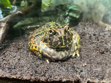 サンシャイン水族館に投稿された画像（2022/12/30）