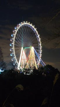 さがみ湖MORI MORIに投稿された画像（2022/12/30）