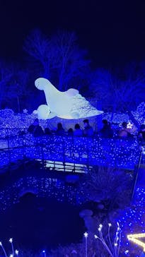 さがみ湖MORI MORIに投稿された画像（2022/12/30）