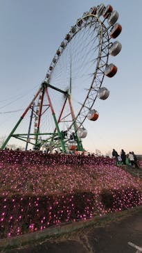 さがみ湖MORI MORIに投稿された画像（2022/12/30）