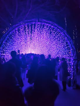 江の島シーキャンドルに投稿された画像（2022/12/30）