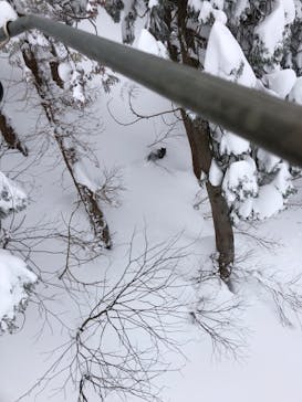 スキージャム勝山に投稿された画像（2022/12/30）