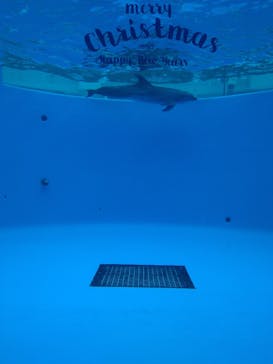 九十九島パールシーリゾートに投稿された画像（2022/12/30）