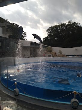 九十九島パールシーリゾートに投稿された画像（2022/12/30）