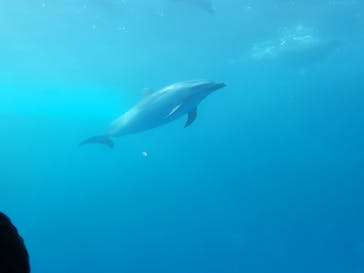 四国水族館に投稿された画像（2022/12/30）