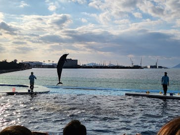 四国水族館に投稿された画像（2022/12/30）
