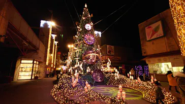 ひらかたパークに投稿された画像（2022/12/30）