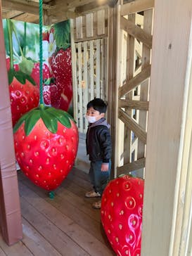 鈴鹿サーキットに投稿された画像（2022/12/30）