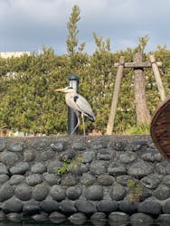 柳川川下り　柳川観光開発「松月乗船場」に投稿された画像（2022/12/30）