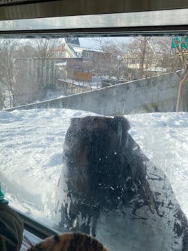 のぼりべつクマ牧場に投稿された画像（2022/12/30）