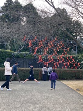 彫刻の森美術館に投稿された画像（2022/12/30）