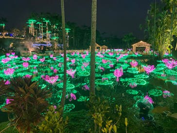 美らヤシパークオキナワ・東南植物楽園に投稿された画像（2022/12/30）