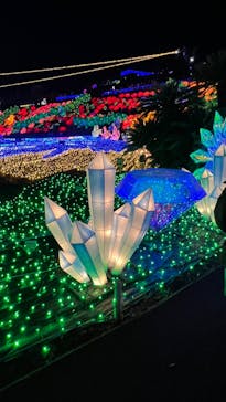 伊豆ぐらんぱる公園に投稿された画像（2022/12/30）