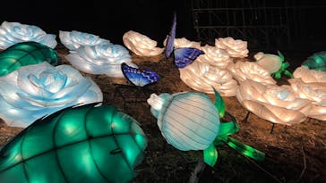 伊豆ぐらんぱる公園に投稿された画像（2022/12/30）