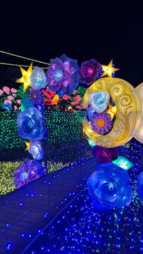 伊豆ぐらんぱる公園に投稿された画像（2022/12/30）