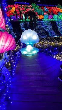 伊豆ぐらんぱる公園に投稿された画像（2022/12/30）